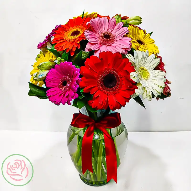 💖 Aurora Boreal: Un Estallido de Color y Elegancia en tu Hogar 🌸✨